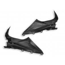 DBK Special Parts (Ducabike) Twill Carbon Fiber Infil Panels for BMW S1000RR (2020+) DBK Special Parts (Ducabike) Twill Carbon Fiber Infil Panels for BMW S1000RR (2020+)